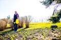 Senior man planting a plants in garden outdoors spring season ready Royalty Free Stock Photo