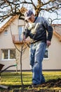 Senior man planting tree in garden Royalty Free Stock Photo