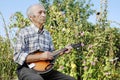 Senior man playing mandolin Royalty Free Stock Photo