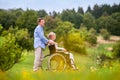 Senior man pushing woman in wheelchair, green autumn nature