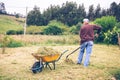 Senior man raking hay with pitchfork on field