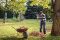 Senior man raking leaf from lawn in garden