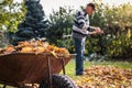 Senior man raking leaf from lawn in garden Royalty Free Stock Photo