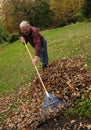 Senior Man Raking Leaves Royalty Free Stock Photo