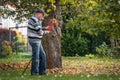 Senior man raking leaves from lawn in garden Royalty Free Stock Photo