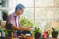 Senior man reading newspaper and drinking coffee in peaceful greenhouse garden Royalty Free Stock Photo