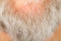 Senior man`s grey beard on chin Royalty Free Stock Photo