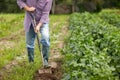 Senior man with shovel digging garden bed or farm