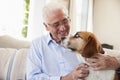 Senior Man Sitting On Sofa At Home With Pet Beagle Dog Royalty Free Stock Photo