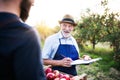 A senior man with son picking apples in orchard in autumn. Royalty Free Stock Photo