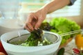 Senior man sorting fresh green lettuce, preparing healthy vegetarian meal in kitchen. Royalty Free Stock Photo