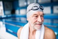 Senior man standing in an indoor swimming pool. Royalty Free Stock Photo