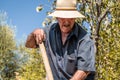 Senior man hand plowing in the field