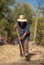 Senior man hand plowing in the field