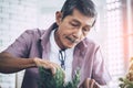 Senior man taking good care of his small plant for hobby