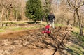 Senior man tilling ground soil with a rototiller in the garden. Royalty Free Stock Photo