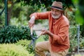 Senior man trimming bushes in his garden. Royalty Free Stock Photo