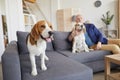 Senior Man with Two Dogs Royalty Free Stock Photo