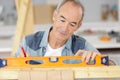 Senior man using spirit level on piece wood Royalty Free Stock Photo