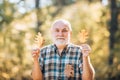Senior man on a walk in a forest in an autumn nature holding leaves. Happy grandfather holding yellow leaf over autumn Royalty Free Stock Photo