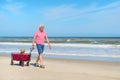 Senior man walking with dog at beach Royalty Free Stock Photo