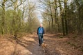 Senior man walking dog in forest Royalty Free Stock Photo