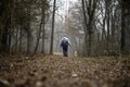 Senior man walking his dog in a forest Royalty Free Stock Photo