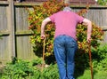 Senior man walking sticks or canes. Arthritis.