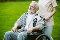 Senior man on the wheelchair in the garden Royalty Free Stock Photo