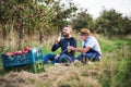 A senior man with adult son drinking cider in apple orchard in autumn. Royalty Free Stock Photo