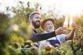 A senior man with adult son holding bottles with cider in apple orchard in autumn. Royalty Free Stock Photo