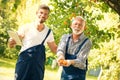 Senior men with adult son picking apricot in orchard, checking quality Royalty Free Stock Photo