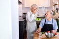 portrait of handsome senior man carving vegetables and wife holding plate with apples Royalty Free Stock Photo