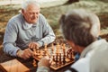 Senior men having fun and playing chess Royalty Free Stock Photo