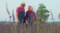 Senior old grandfather grandmother farmers growing lavender plant harvest in herb blooming garden