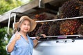 Senior owner Asia woman showing the bunch of red palm seed on car truck