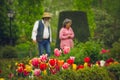 Senior people admiring tulips flowers in spring garden looking at bulb flowers.