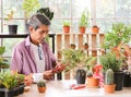 Senior people lifestyle and small business concept.Active  Asian elderly man sitting at table with houseplants and gardening tools Royalty Free Stock Photo