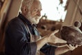 Senior potter in apron examining ceramic bowl