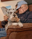 Senior Reading and Relaxing with Dog Royalty Free Stock Photo