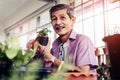 Senior retired male is trimming little plant in his home grasshouse indoor garden for happy elder lifestyle concept Royalty Free Stock Photo