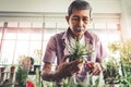 Senior asian male is trimming little plant in his home grasshouse indoor garden for happy elder lifestyle concept. closed Royalty Free Stock Photo