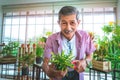 Senior retired male is trimming little plant in his home grasshouse indoor garden for happy elder lifestyle concept. closed Royalty Free Stock Photo