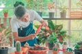 Senior retirement man having happy time taking picture of plants in his greenhouse home garden. for happy retirement lifestyle