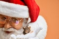 Senior Santa Claus in white gloves domesticate little rat