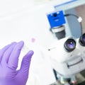 Senior scientist microscoping in lab. Royalty Free Stock Photo