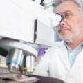 Senior scientist microscoping in lab. Royalty Free Stock Photo