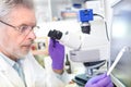Senior scientist microscoping in lab. Royalty Free Stock Photo