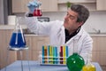 Senior scientist researching in laboratory Royalty Free Stock Photo