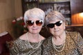 Senior sisters with matching leopard outfits Royalty Free Stock Photo